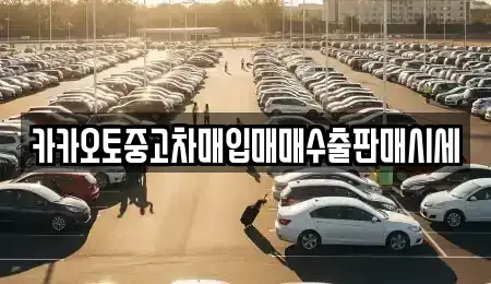 서울 중구 황학동 중고차매입 전문 카카오토중고차매입매매수출판매시세