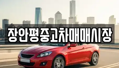 서울특별시 강동구 둔촌동 중고차 전문 장안평중고차매매시장