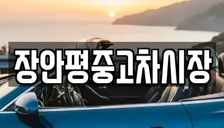 서울특별시 강동구 둔촌동 중고차,렌트카,중고차매입,중고차매매,장기렌트카,단기렌트카