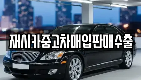 서울특별시 강동구 둔촌동 중고차 전문 재시카중고차매입판매수출