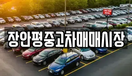 서울특별시 노원구 하계동 중고차 전문 장안평중고차매매시장