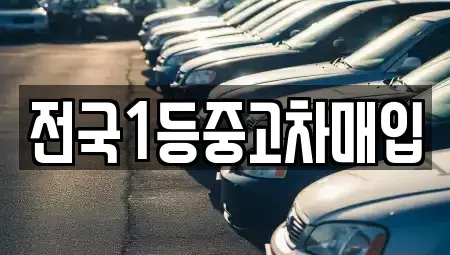 서울특별시 노원구 하계동 중고차 전문 전국1등중고차매입