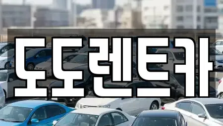 서울특별시 동대문구 장안동 렌트카 전문 도도렌트카