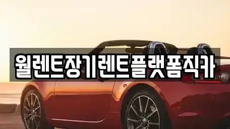서울특별시 동작구 상도1동 렌트카 전문 월렌트장기렌트플랫폼직카