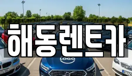 서울특별시 동작구 상도1동 렌트카 전문 해동렌트카