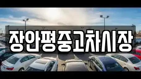 서울특별시 동작구 상도1동 중고차매매 전문 장안평중고차시장