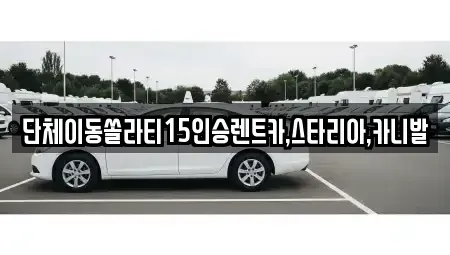 서울특별시 마포구 대흥동 렌트카 전문 단체이동쏠라티15인승렌트카,스타리아,카니발