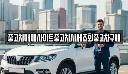 서울특별시 마포구 대흥동 중고차매매 전문 중고차매매사이트중고차시세조회중고차구매