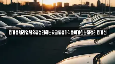 서울특별시 마포구 대흥동 중고차매입 전문 폐기물처리업체유품정리하는곳골동품가격돌아가신분집정리폐가전