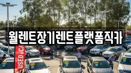 서울특별시 서대문구 남가좌동 장기렌트카 전문 월렌트장기렌트플랫폼직카