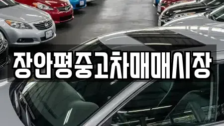 서울특별시 서대문구 남가좌동 중고차 전문 장안평중고차매매시장