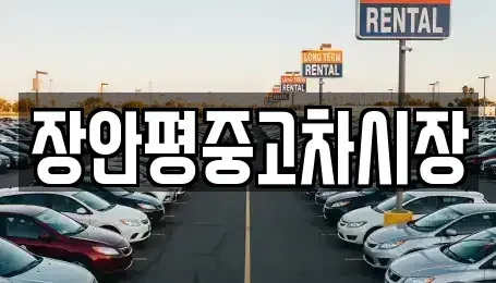 서울특별시 서대문구 남가좌동 중고차 전문 장안평중고차시장