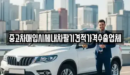 서울특별시 서대문구 남가좌동 중고차 전문 중고차매입시세내차팔기견적가격수출업체
