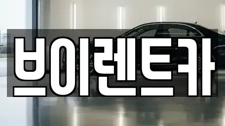 서울특별시 성동구 금호동1가 렌트카 전문 브이렌트카