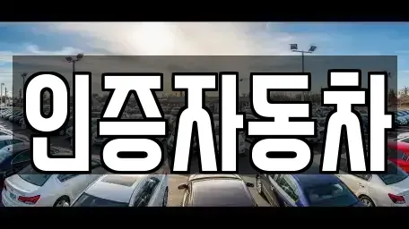 서울특별시 성동구 금호동1가 중고차 전문 인증자동차