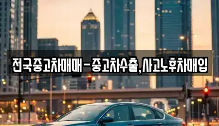 서울특별시 성동구 금호동1가 중고차 전문 전국중고차매매-중고차수출,사고노후차매입