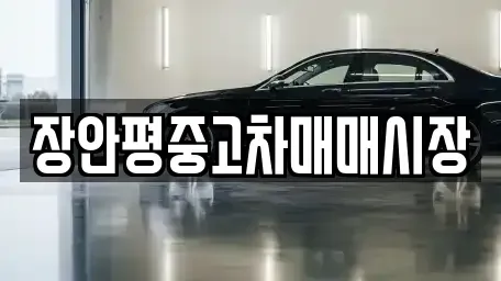 서울특별시 성동구 금호동1가 중고차매매 전문 장안평중고차매매시장