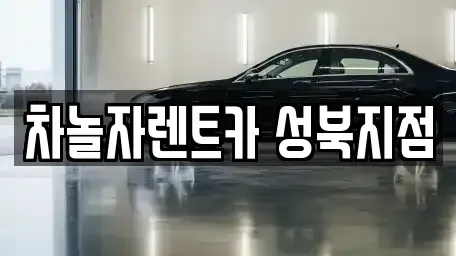 서울특별시 성북구 동선동3가 렌트카,단기렌트카,장기렌트카,중고차,중고차매매,중고차매입