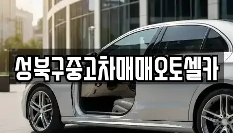 서울특별시 성북구 동선동3가 중고차 전문 성북구중고차매매오토셀카
