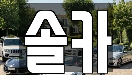 서울특별시 성북구 동선동3가 중고차 전문 솔카