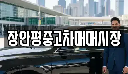 서울특별시 성북구 동선동3가 중고차 전문 장안평중고차매매시장