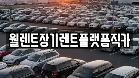 서울특별시 성북구 삼선동3가 장기렌트카 전문 월렌트장기렌트플랫폼직카
