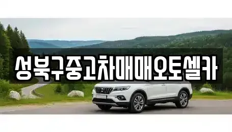 서울특별시 성북구 삼선동3가 중고차매매 전문 성북구중고차매매오토셀카