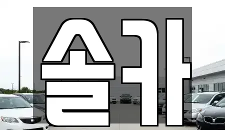 서울특별시 성북구 삼선동3가 중고차매매 전문 솔카