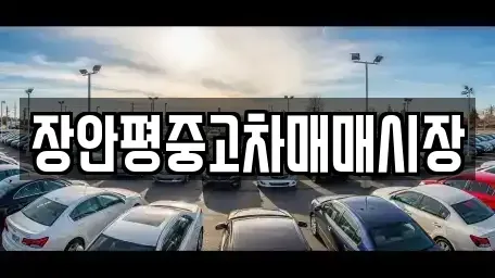 서울특별시 성북구 삼선동3가 중고차매매 전문 장안평중고차매매시장
