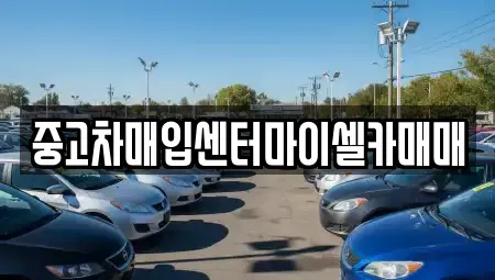 서울특별시 성북구 삼선동3가 중고차매입 전문 중고차매입센터마이셀카매매
