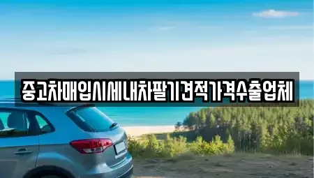 서울특별시 성북구 삼선동3가 중고차매입 전문 중고차매입시세내차팔기견적가격수출업체