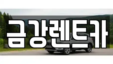 서울특별시 성북구 상월곡동 렌트카 전문 금강렌트카