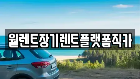 서울특별시 성북구 상월곡동 장기렌트카 전문 월렌트장기렌트플랫폼직카