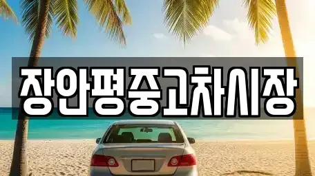 서울특별시 성북구 상월곡동 중고차매매 전문 장안평중고차시장