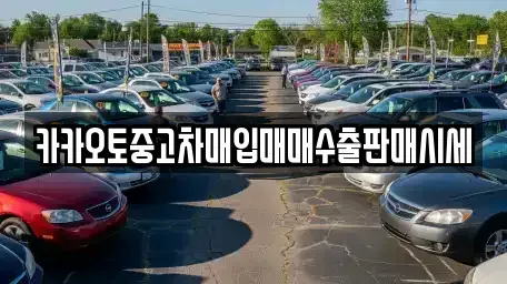 서울특별시 성북구 상월곡동 중고차매입 전문 카카오토중고차매입매매수출판매시세