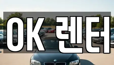 서울특별시 성북구 안암동4가 렌트카 전문 OK 렌터