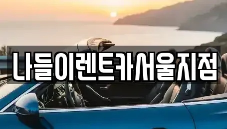서울특별시 성북구 안암동4가 렌트카 전문 나들이렌트카서울지점