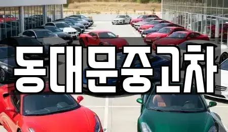 서울특별시 성북구 안암동4가 중고차 전문 동대문중고차