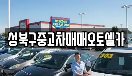 서울특별시 성북구 안암동4가 중고차 전문 성북구중고차매매오토셀카
