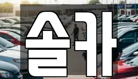 서울특별시 성북구 안암동4가 중고차 전문 솔카