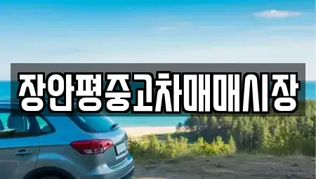 서울특별시 성북구 안암동4가 중고차 전문 장안평중고차매매시장