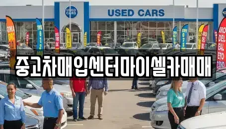 서울특별시 성북구 안암동4가 중고차매입 전문 중고차매입센터마이셀카매매