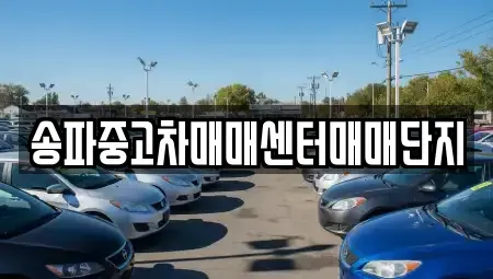 서울특별시 송파구 마천동 중고차매매 전문 송파중고차매매센터매매단지