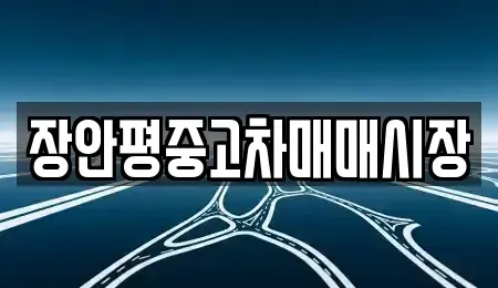 서울특별시 송파구 마천동 중고차매매 전문 장안평중고차매매시장