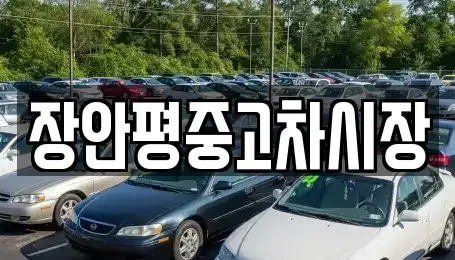 서울특별시 송파구 마천동 중고차매매 전문 장안평중고차시장