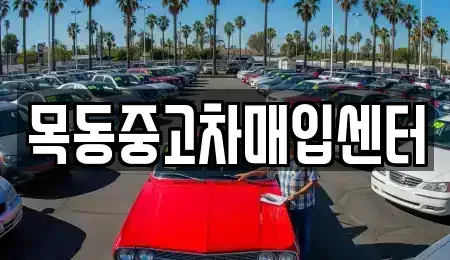 서울특별시 양천구 신월동 중고차매입 전문 목동중고차매입센터