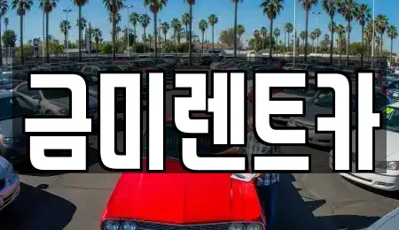 서울특별시 영등포구 당산동4가 렌트카 전문 금미렌트카
