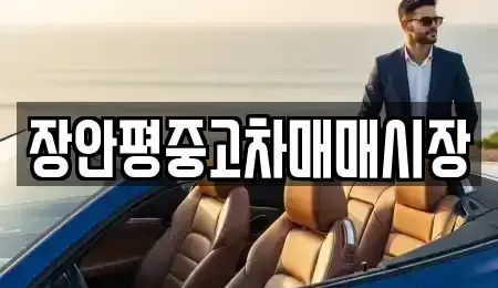 서울특별시 영등포구 당산동4가 중고차 전문 장안평중고차매매시장