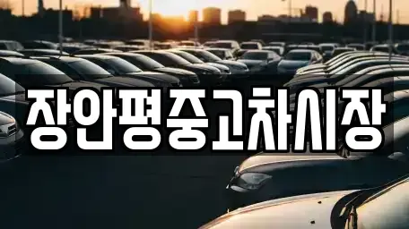 서울특별시 영등포구 도림동 중고차매매 전문 장안평중고차시장