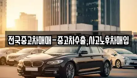 서울특별시 영등포구 도림동 중고차매입 전문 전국중고차매매-중고차수출,사고노후차매입
